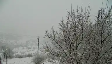Posof'ta Yoğun Kar Yağışı Hayatı Felç Etti